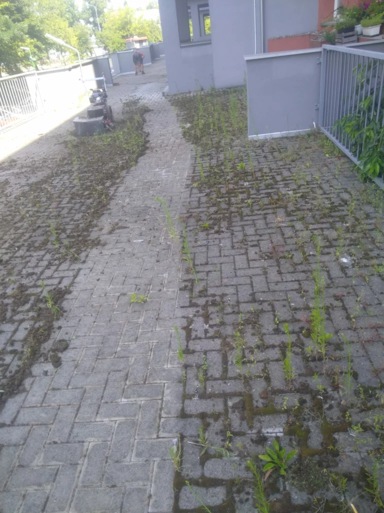 Oczyszczanie tarasów